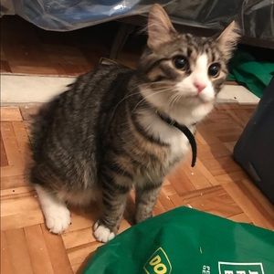 Meet your Posher, Stacy